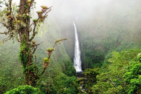 Aventura y naturaleza
