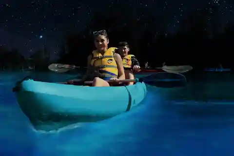 Titusville: Bioluminescent kajaktur