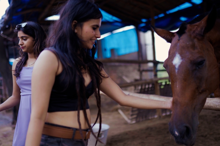Strode Marwari Equestrian Experience : Haras + équitation