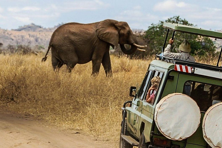 8-Day Luxury Flying Safari: Amboseli, Samburu and Masai Mara