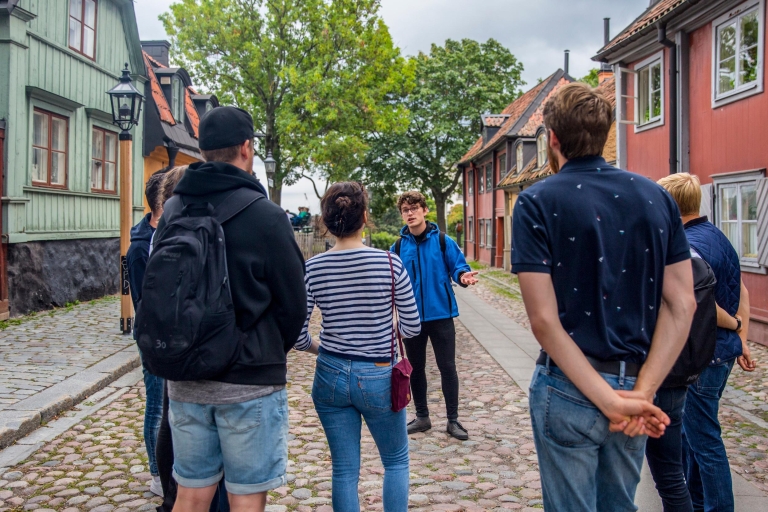 Estocolmo bohemio: tour a pie por la isla de SödermalmTour privado