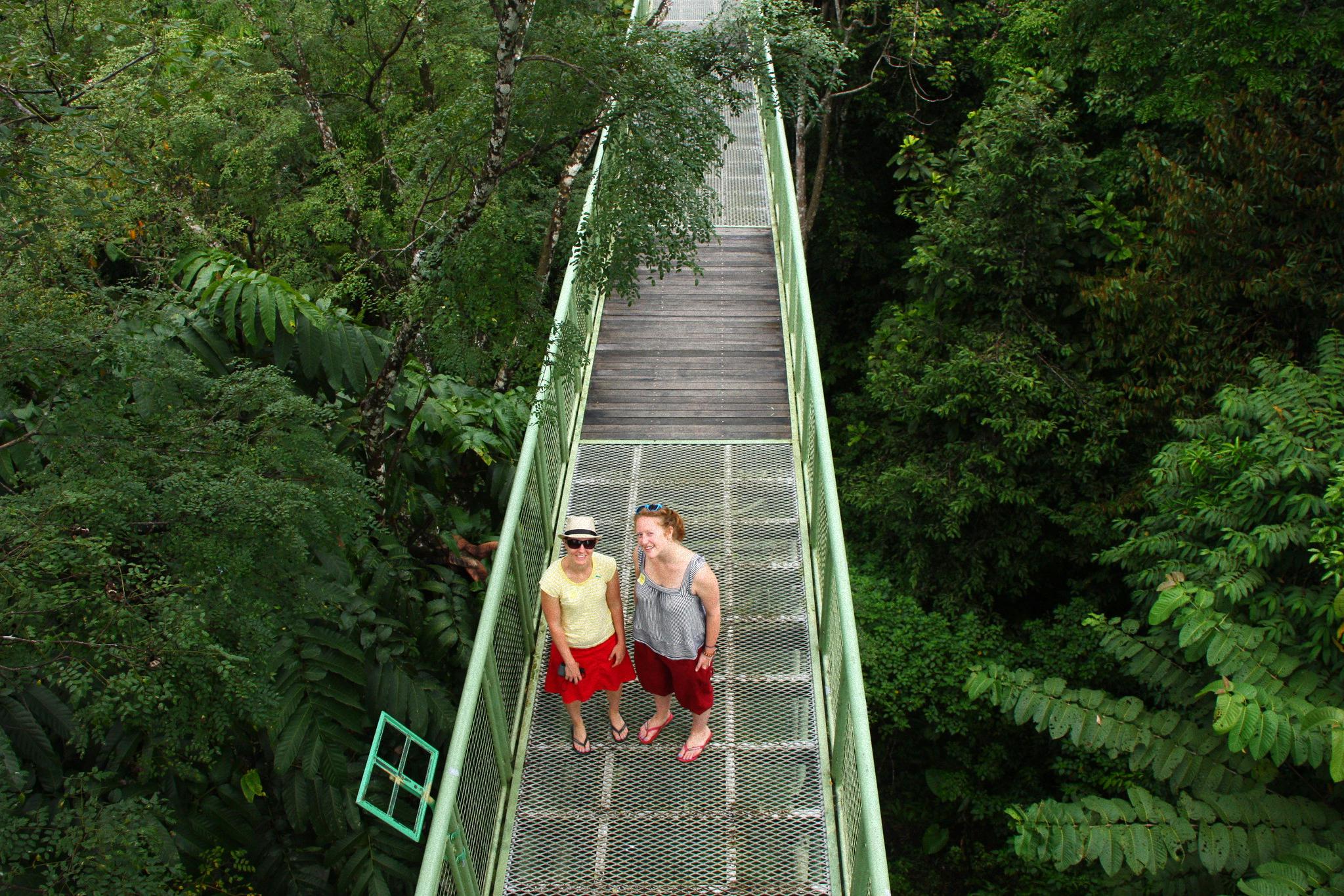 Sandakan: Private Städtetour, Regenwald, Dschungelspaziergang, Vögel