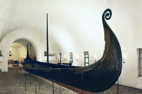Oslo: Viking Ship Museum and Historical Museum Entry Ticket