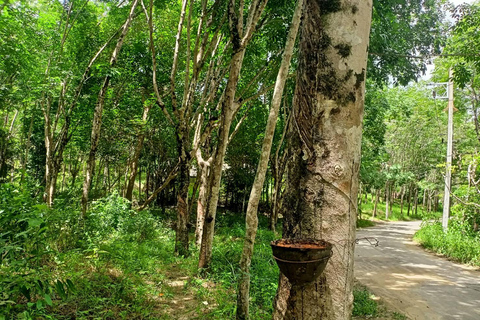 Khao Lak’s Best: Elephant Sanctuary,Rubber Tapping&Waterfall Khaolak Elephant Sanctuary Guided Tour with Hotel Transfers