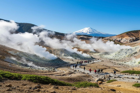 Tokyo:Hakone Private Day Tour With Lake Ashi & Mt Fuji views