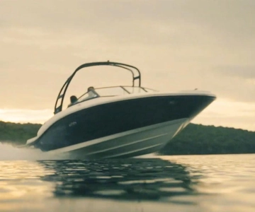 Lago Constanza (¡¡Untersee!!): Tour en barco privado y guiado
