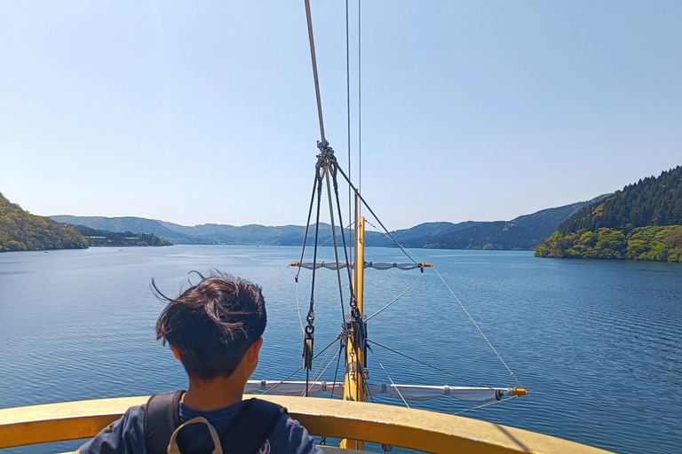 From Tokyo: Mt. Fuji or Hakone Private Sightseeing Day Trip Itinerary A: Mount Fuji