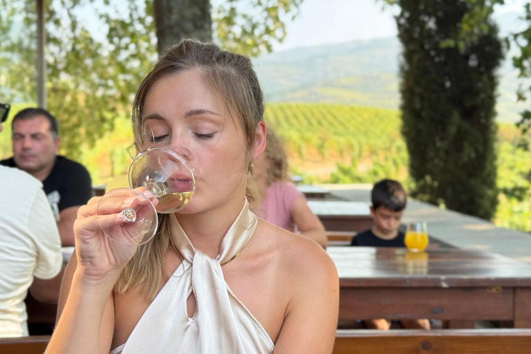 Porto: Douro Valley Train Tour, Cruise, Wine & Lunch