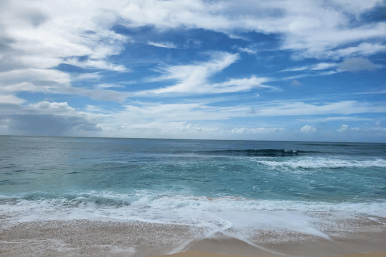 Oahu: Shared Circle Island Tour from Waikiki
