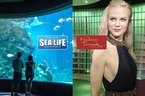 Ingresso combinado SEA LIFE Bangkok Ocean World e Madame Tussauds