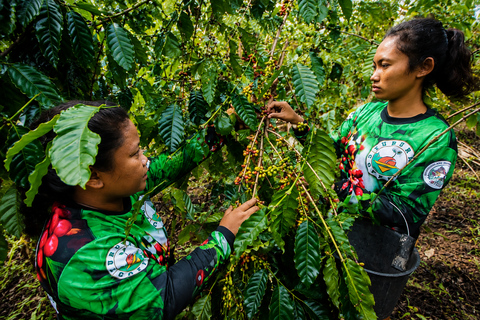 Cebu: Highlands Escape with Coffee Farm Experience