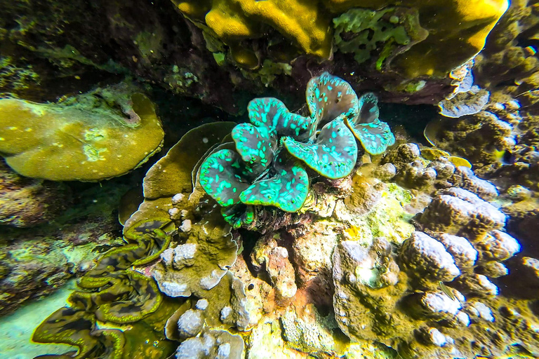 Phuket or Khaolak: Surin Islands 3day-2night Snorkeling Tour From Phuket: Surin Islands 3 day and 2night Snorkeling Tour