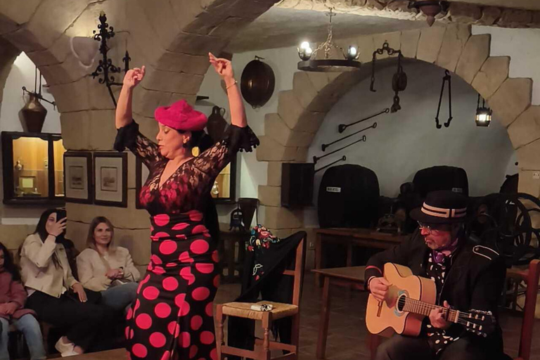 Ronda: Flamenco Show at the Lara Museum