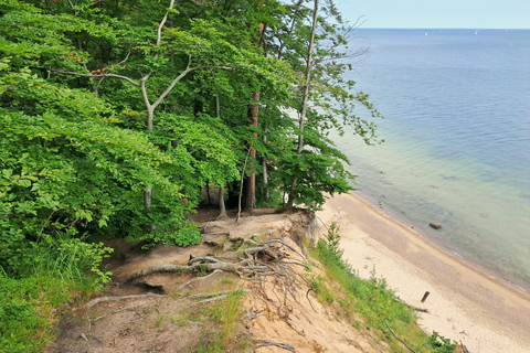 Gdynia: Forest, Cliff, and Beach Guided Walking Tour