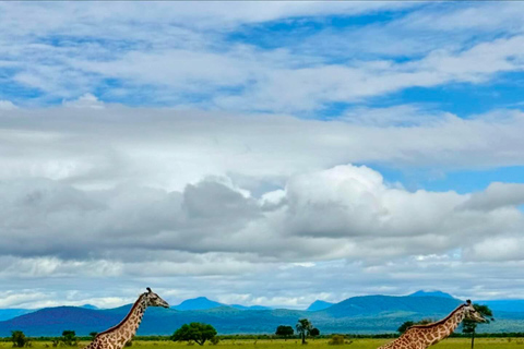 SAFARI DELLA FAUNA SELVATICA 3 GIORNI E 2 NOTTI DA ZANZIBAR A MIKUMI