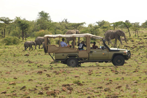 Nairobi: Amboseli National Park Day Trip with Masai Village