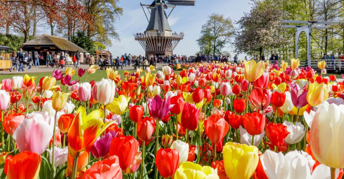 Amsterdam jardins de Keukenhof et ferme des tulipes GetYourGuide