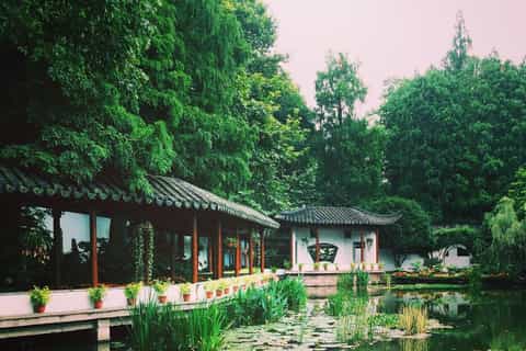 Hangzhou Private Half–Day Tea and Gardens Tour