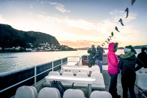 De Bergen : croisière dans le fjord jusqu'aux spectaculaires ruisseaux d'Alversund