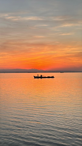 Albufera Valencia: Guided electric boat ride, also sunset
