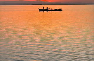 Albufera Valencia: Geführte Tour mit dem Elektroboot, auch bei Sonnenuntergang