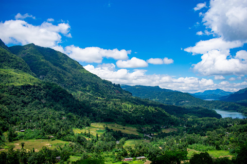 De Colombo: Excursão de 3 dias a Kandy, Sigiriya, Ella e Nuwara Eliya