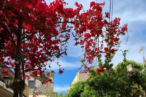 La visite gastronomique sélective "Feel like local" au départ d'HéraklionMinibus (19 places) Sprinter Mercedes