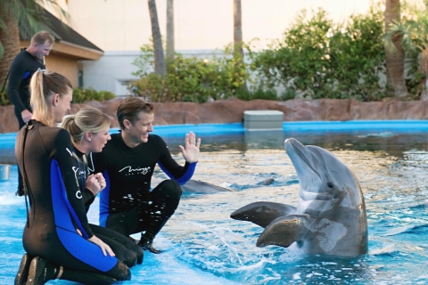 Hurghada: 1-godzinny pokaz w Dolphin World i odbiór z hoteluDelfinarium: bilety i prywatny transport