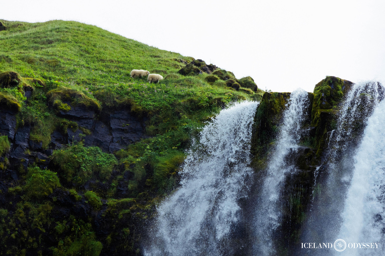 South Coast Private Tour with Waterfalls & Black Sand Beach 1-8 People (Van)