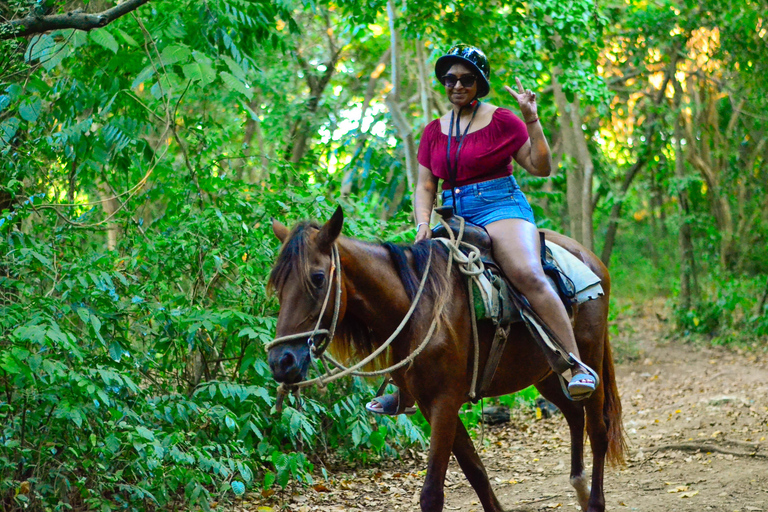 Punta Cana : Randonnée à cheval avec coucher de soleil sur la plage de Macao