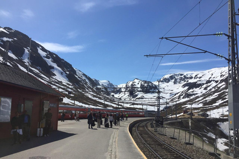 Oslo: 4-Day Norway in a Nutshell Tour with Hotels