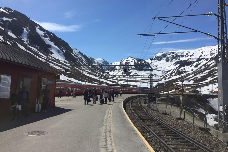 Oslo: 4-Day Norway in a Nutshell Tour with Hotels