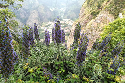 Meraviglie di montagna in 4h: Valle delle Monache + Eira do SerradoMontagna Meraviglie Valle delle Monache