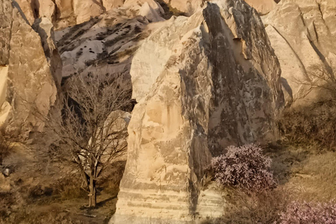 Cappadoce : Randonnée guidée dans la vallée des roses