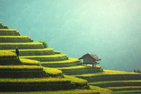 from guilin 3night sunrise photo tour day in yangshuo