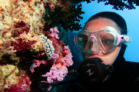 Da Nang: Cham Islands Fun Dive with Lunch and Transfers Fun Divers with Certified - two dive