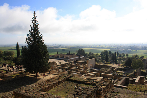 Cordoba: Medina Azahara: rondleiding van 3 uurTour zonder transporation