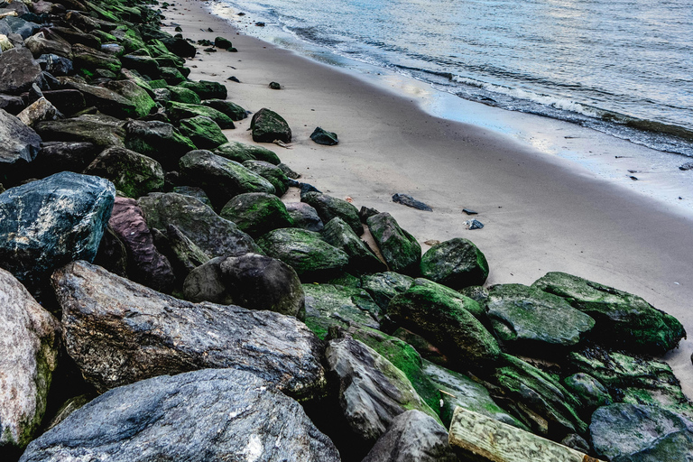 Verano en Brooklyn: tour por el puente, DUMBO y Coney IslandVisita guiada en español