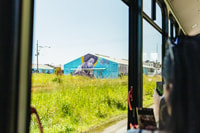 Nueva Orleáns, tour de turismo en autobús - Hizvo
