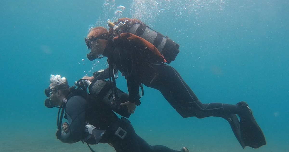 Try Dive for Beginners GetYourGuide