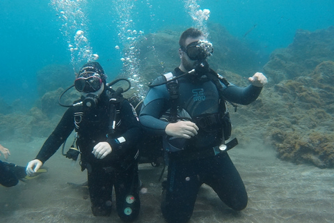 PADI : cours de plongée en mer de 3 jours