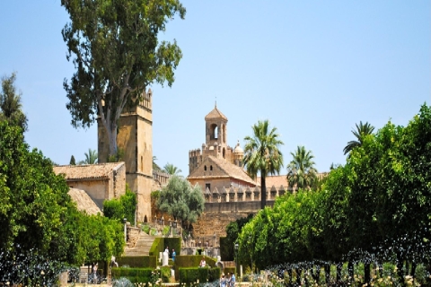 Cordoba: Alcazar der christlichen Könige 1-stündige geführte TourTour auf Spanisch