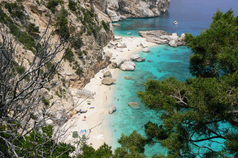 Santa Maria Navarrese: Full-Day Costa di Baunei Boat Tour