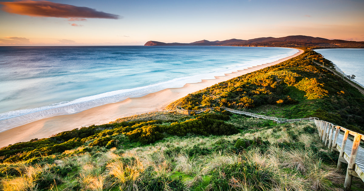 Ab Hobart: Tagestour nach Bruny Island | GetYourGuide