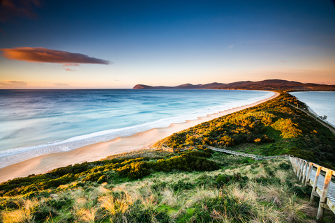 Ab Hobart: Tagestour nach Bruny Island