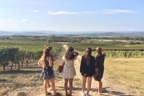 Visite des vignobles du Pays Cathare