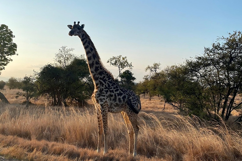 Nyerere National Park: 3-Day Classic & Boat Safari