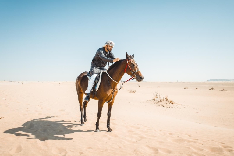 Sharm: Safari en quad, paseo a caballo y paseo en camello con desayunoSharm: Aventura en el desierto en quad, a caballo y en camello