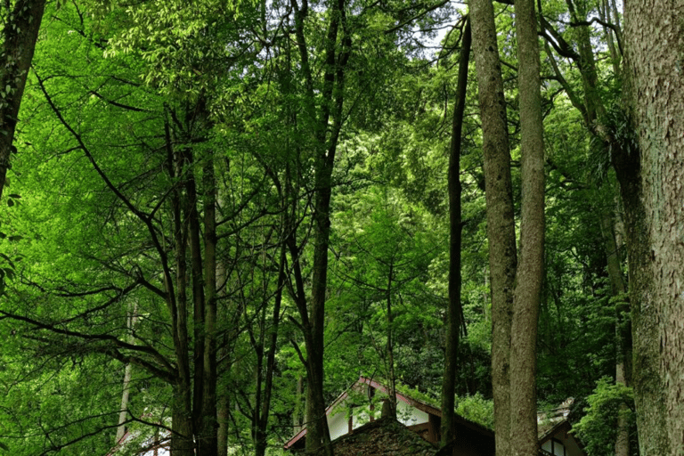 Chengdu Group Tour: Dujiangyan Water System & Mt Qingcheng