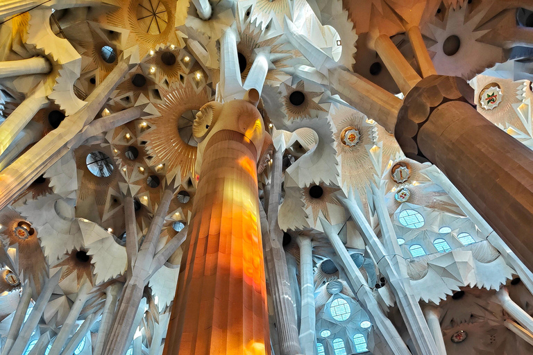 Visite privée de la Sagrada Familia avec billet d'entrée en anglais